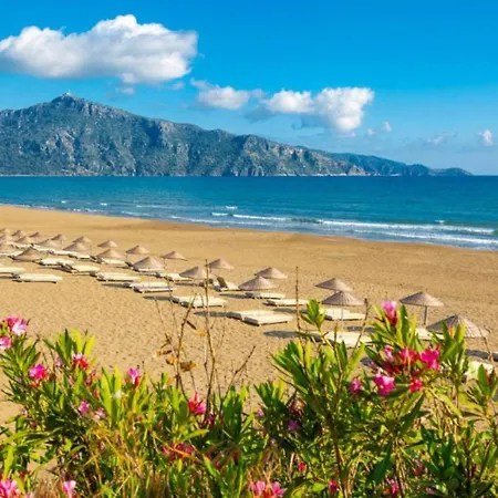 Duman 1 فيلة داليان