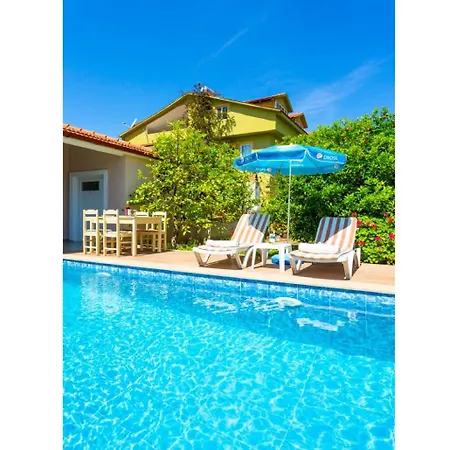 Duman 1 فيلة داليان